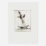 Claes Oldenburg, Apple Core (Black and White State), 1991, lithograph in colors on JB Green Cotman