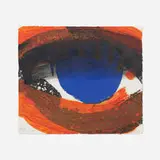 Howard Hodgkin, Eye