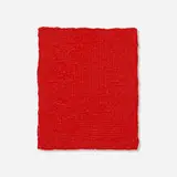 Bernard Aubertin, Trame en feu, 2012, acrylic on canvas