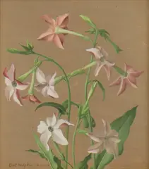Eliot Hodgkin, Untitled, 'Paintings in Egg Tempera by Eliot Hodgkin'