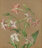 Eliot Hodgkin, Untitled, 'Paintings in Egg Tempera by Eliot Hodgkin'