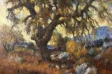 Fernando Fader, Arbol En Las Sierras