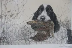 Léon Danchin, Pointer Con Una Presa En Su Boca, grabado al aguafuerte en colores