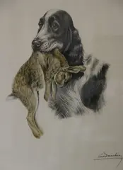 Léon Danchin, Perros De Caza, grabados en colores de distintos tamaños