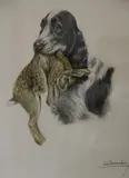 Léon Danchin, Perros De Caza, grabados en colores de distintos tamaños