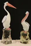 Pino Signoretto, Pelicanos