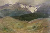 Paisajes Montañosos by Luigi Paolillo, óleos sobre tabla, offered Aug 2025