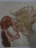 El Boxeador by Guillermo Benguria, dIbujo y acuarela, offered Mar 2025
