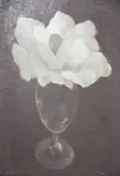 Juan Otero, Copa Con Magnolia, óleo sobre cartón