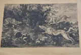 Wilhelm Unger, Chasse Au Sanglier, grabado realizado en base a una pintura de Snyders