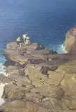 Dario Mecatti, Niños En Las Rocas Junto Al Mar, óleo sobre tela