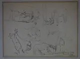 Eleodoro Marenco, Domando Caballos, dibujos a la tinta y lápiz sobre papel, representando diversas escenas de doma