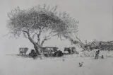 Guillermo Dohme, Buscando Sombra, grabado