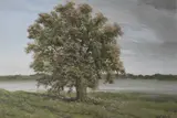 Arbol En La Costa by Cachorro Agote, témpera, offered Jun 2022