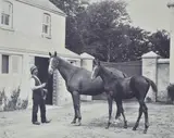 Album by Clarence Hailey, grabados de caballos, de 20,5 x 25 cm, offered Nov 2021
