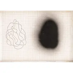 José Damasceno, Untitled