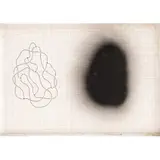 José Damasceno, Untitled