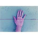 Adriana Varejão, CONTIGENTE