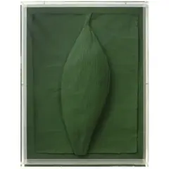 Frans Krajcberg, Untitled, RELEVO EM PAPEL MOLDADO