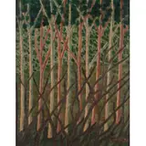 Amadeo Luciano Lorenzato, Untitled