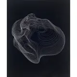 Angelo Venosa, BLACK BOXES, 2011, INCISÃO EM ACRÍLICO
