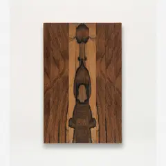 Abraham Palatnik, RELEVO PROGRESSIVO, Escultura em Jacarandá