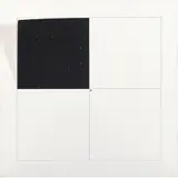 Anna Maria Maiolino, DA SÉRIE PROJETOS CONSTRUÍDOS, 1972