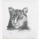 Felinomen by Roberto Magalhães, GRAFITE SOBRE PAPEL, offered Oct 2018