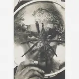 Ivan Cardoso, Tunga e a aranha