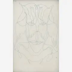 Tunga, Untitled, Desenho à lápis de cor em papel do Himalaia