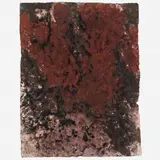 Untitled by Frans Krajcberg, Pigmento sobre papel artesanal moldado, offered Apr 2018