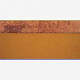 Gonçalo Ivo, Claustro, Óleo, cobre e têmpera sobre tela