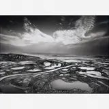 Sebastião Salgado, Pantanal