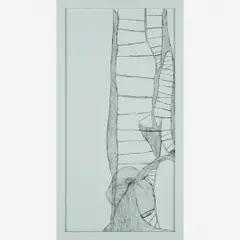 Sandra Cinto, Untitled, Caneta esferográ ca sobre MDF pintada