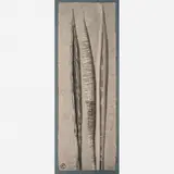 Untitled by Frans Krajcberg, Relevo em papel artesanal, pigmentos e areia, offered May 2015