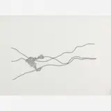 José Damasceno, Untitled