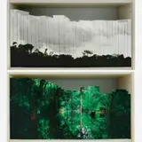 Claudia Jaguaribe, A Biblioteca IV, série Quando eu Vi - Estante I, 2007