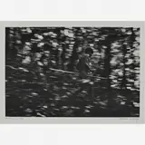 Yanomami, série A Floresta, 1974/2003 by Claudia Andujar, Gelatina e prata sobre papel, offered Aug 2014