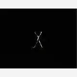 1\x\111, 2005/2006 by Edouard Fraipont, C-PRINT, offered Aug 2014