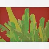Newton Mesquita, Untitled