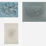 Aluísio Carvão, Untitled
