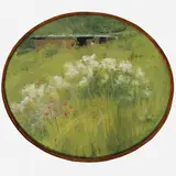 Eliseu Visconti, Campo Florido