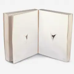 Balada by Nuno Ramos, Livro perfurado com bala calibre 38, offered Nov 2013