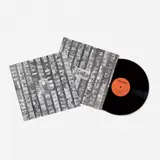 Sal sem Carne by Cildo Meireles, Disco de vinil e capa em papel, offered Apr 2013