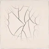 Adriana Varejão, Monocromo chinês