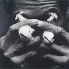 Homem com Lágrimas de Pássaro by Mário Cravo Neto, Fotografia, offered Apr 2013