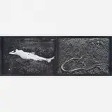 Miguel Rio Branco, Snake Dream, Cibachrome