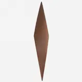Marcos Coelho Benjamim, Cone
