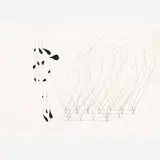 José Damasceno, Untitled