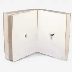 Balada by Nuno Ramos, Livro perfurado com bala calibre 38, offered Jun 2012